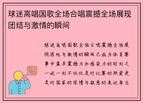 球迷高唱国歌全场合唱震撼全场展现团结与激情的瞬间